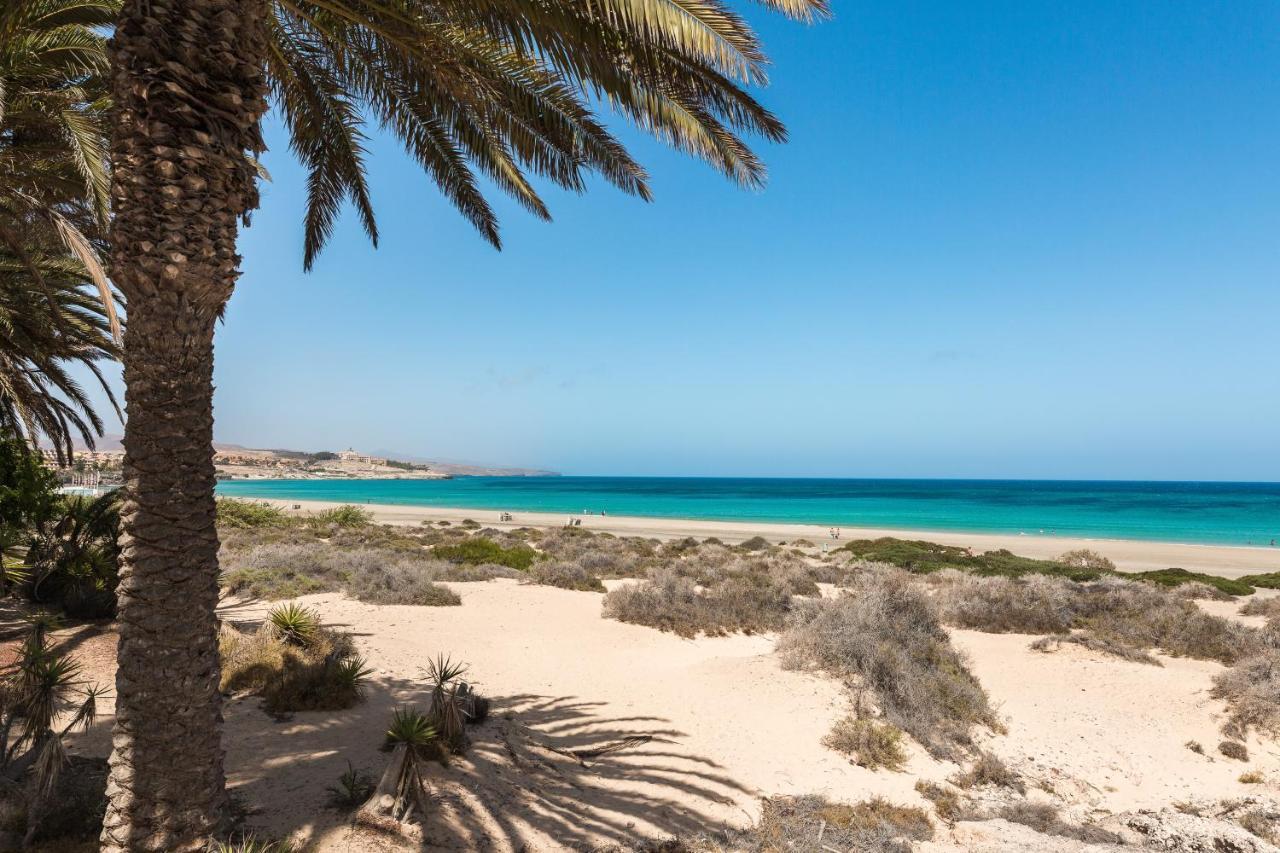 Home2book Charming Los Alisios, Wifi Corralejo
